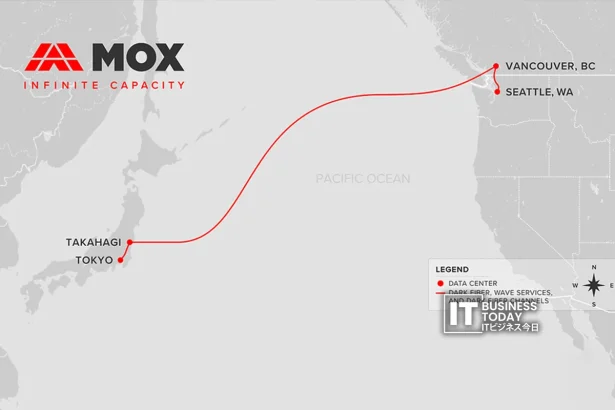 MOX Networks