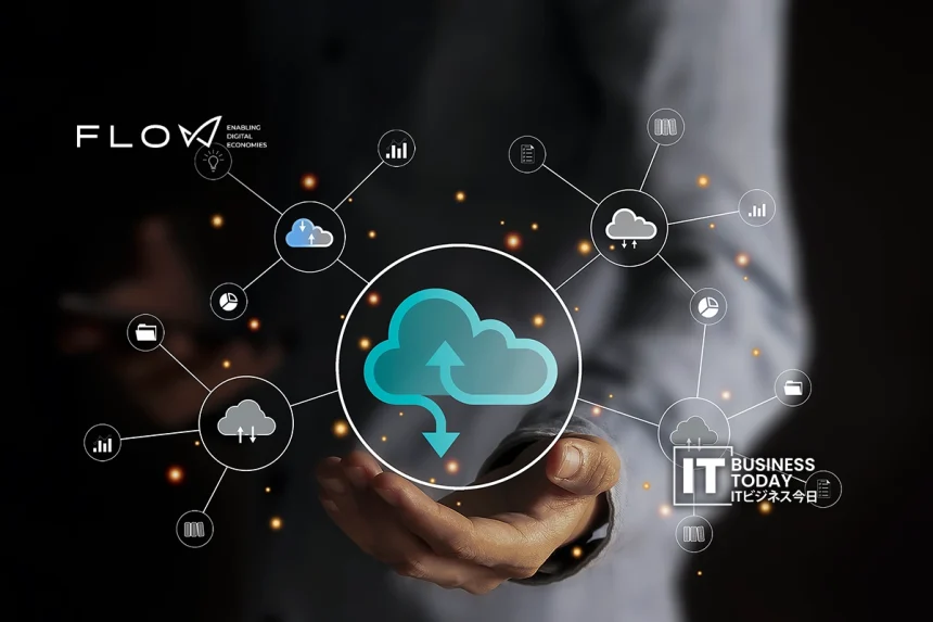 FLOW-Digital-Infrastructure