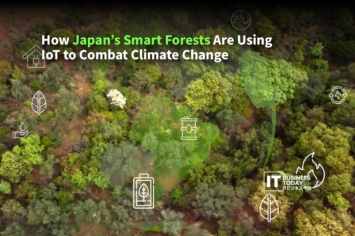 Climate Change In Java Forest How Japan's Smart Forests Use IoT to Fight Climate Change